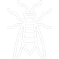 White Wasp Icon