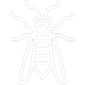 White Wasp Icon